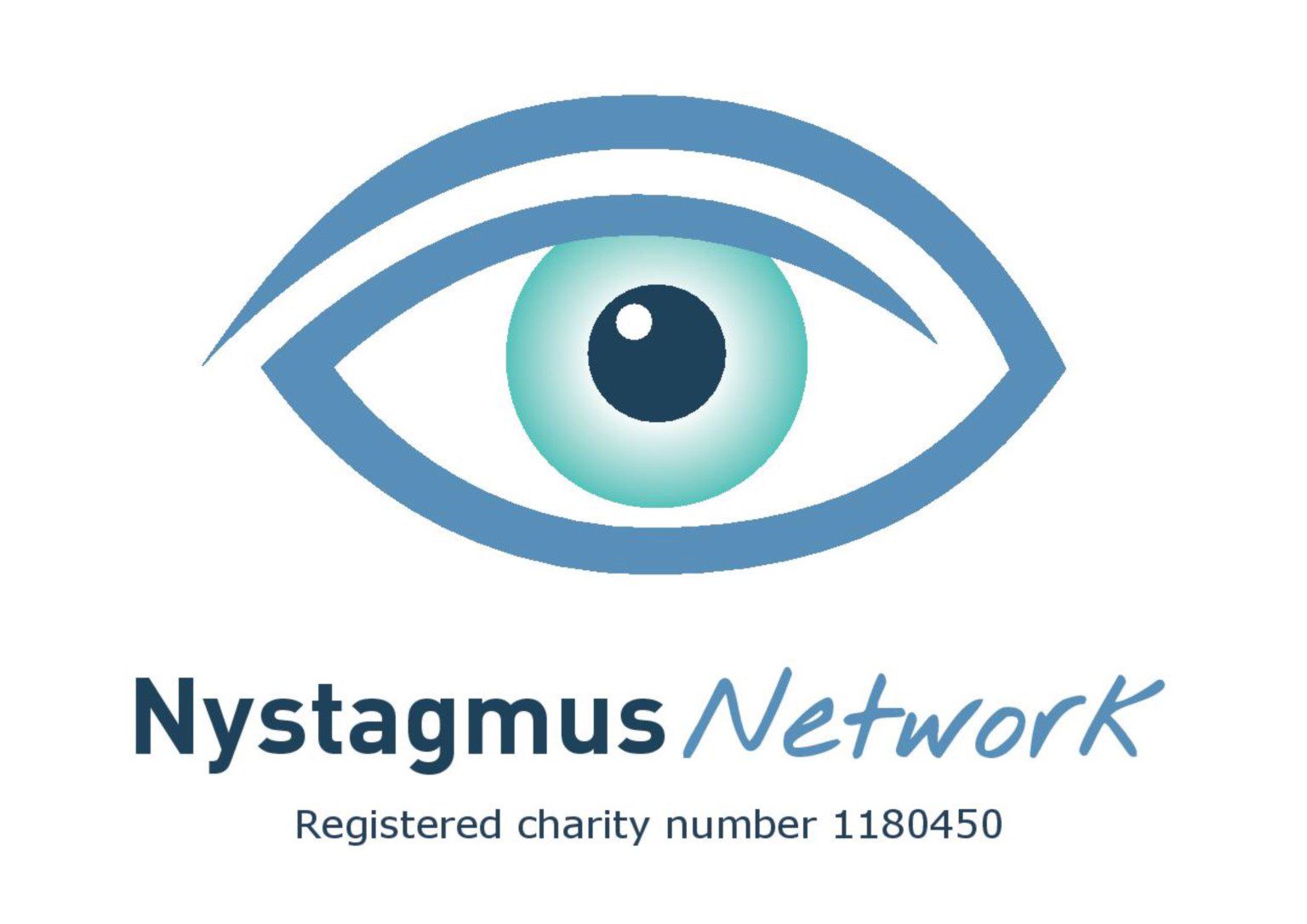 nystagmus network