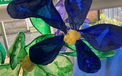 My Sight Newark Get Creative!