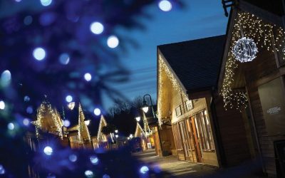 Join us for a Christmas Shopping Trip to Trentham