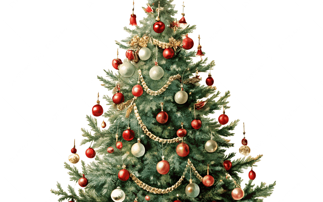 My Sight Notts Christmas Opening Times